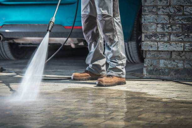 Best Roof Washing  in Steelevle, IL